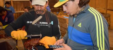Fishermen evaluating PescaData in the field - El Rosario, BC